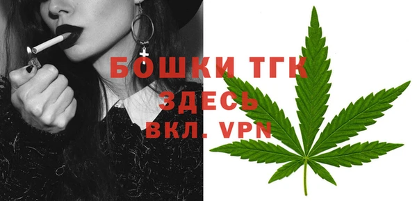 мдпв Горнозаводск